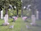 grave reflections 1.jpg (75kb)